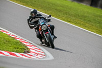 Oulton-Park-21st-March-2020;PJ-Motorsport-Photography-2020;anglesey;brands-hatch;cadwell-park;croft;donington-park;enduro-digital-images;event-digital-images;eventdigitalimages;mallory;no-limits;oulton-park;peter-wileman-photography;racing-digital-images;silverstone;snetterton;trackday-digital-images;trackday-photos;vmcc-banbury-run;welsh-2-day-enduro